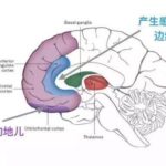 我说吧--产品经理